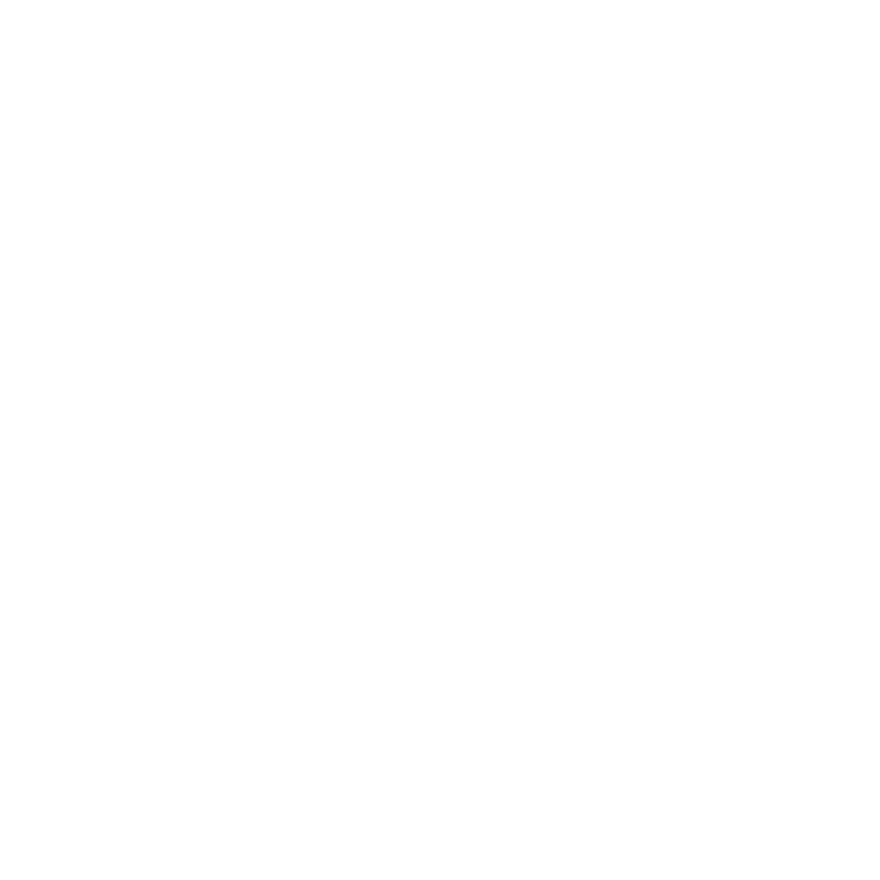 Rally Timer Logo
